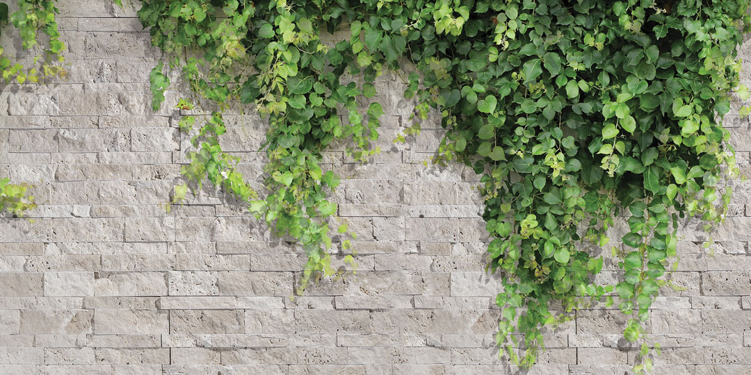 Travertine Split Face - Ivory Panel