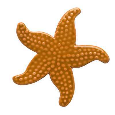 Starfish Tan Pool Mosaic | 102TN Ceramic Mosaics