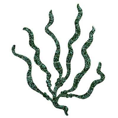 Ceramic Mosaic Sea Grass | G61 Ceramic Mosaics