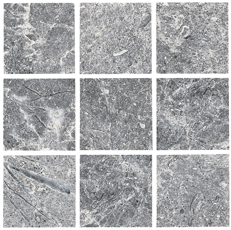Safari Boulder Gray 2" x 2" | NPT Boulder Gray Pool Tile