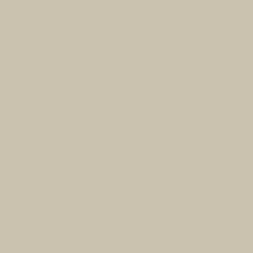Light Gray Colored Grouts | NPT Additional Products